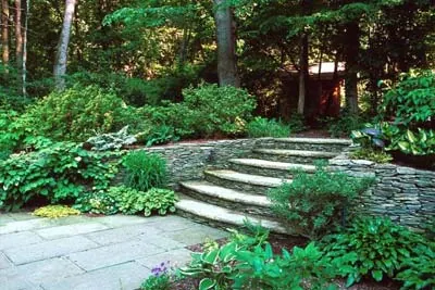 Landscape and Hardscape